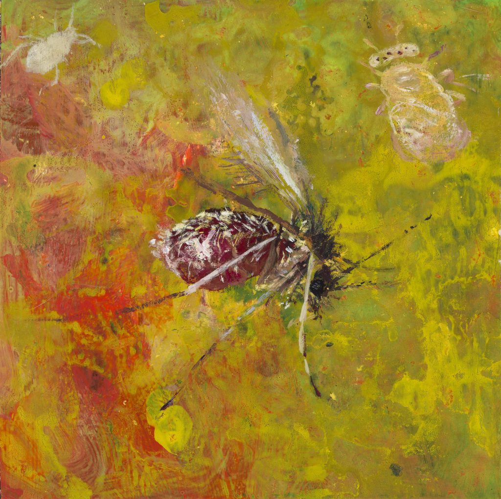 paintings AONIDIELLA PHLEBOTOMUS PHYLLOXERA, acrylic on paper, 16 x 16 cm