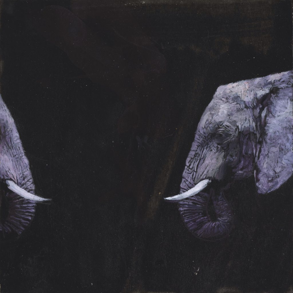 alexis korbis contact