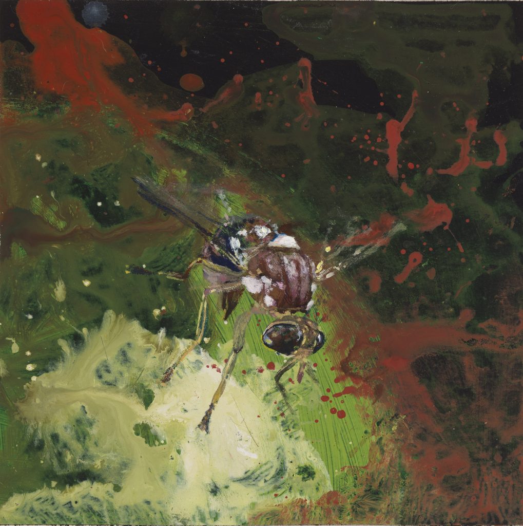 paintings DACUS OLEAE, acrylic on paper, 18 x 18 cm