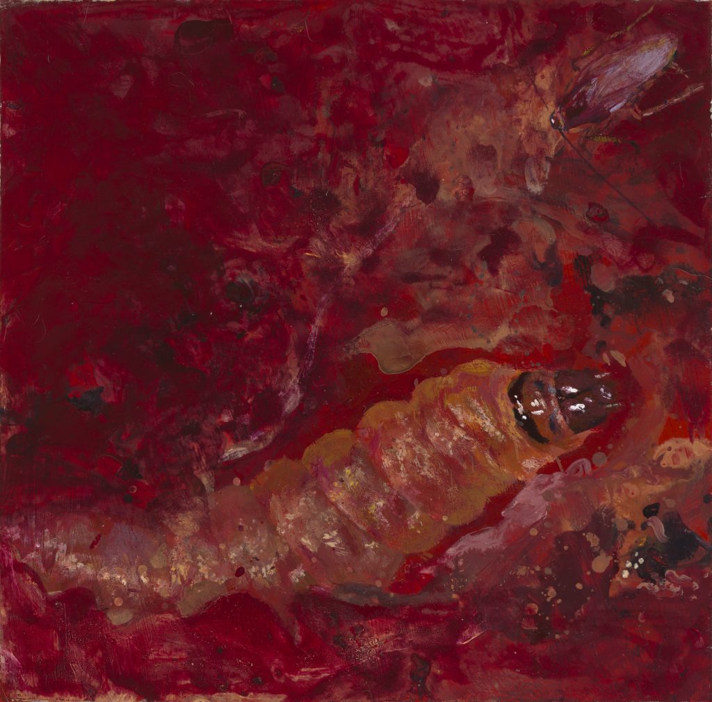 paintings TUTA ABSOLUTA PERIPLANETA AMERICANA, acrylic on paper, 17,5 x 18 cm