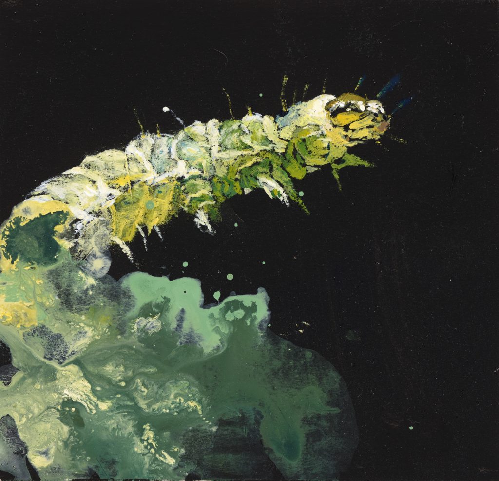 paintings TUTA ABSOLUTA, acrylic on paper, 11,5 x 12 cm